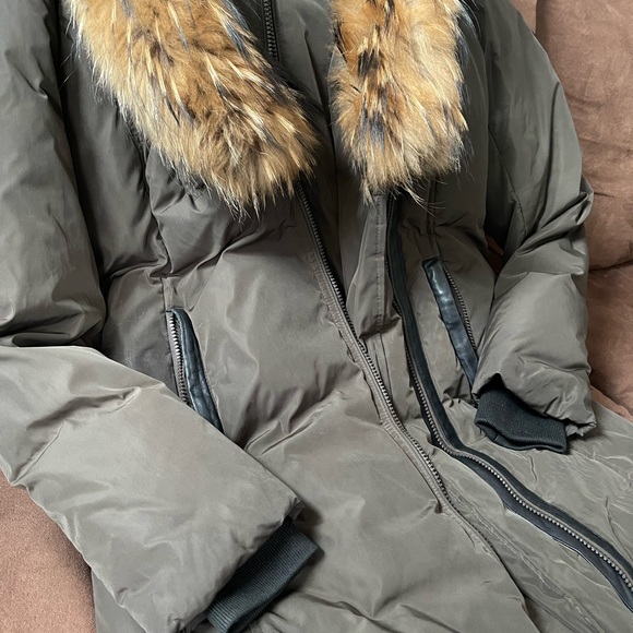 Oakpik Coat ( Olive Green ) M - Picture 3 of 5